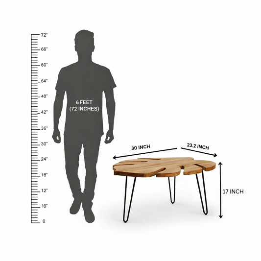 Leaf Shape Wooden Coffee Table | Modern Hairpin Legs
