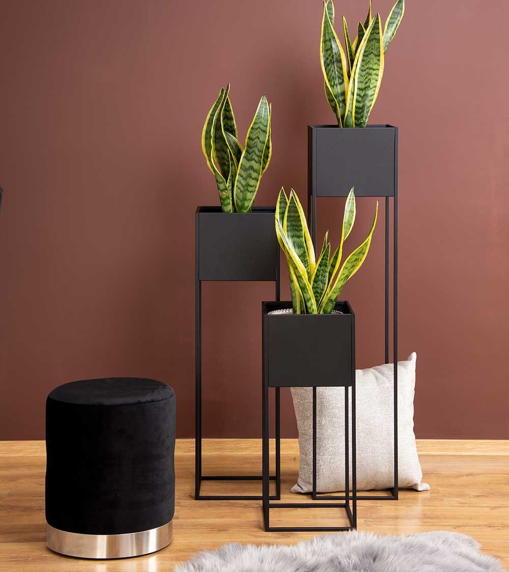 Luxury Flower pot stand set of 3